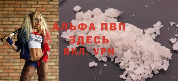 PSILOCYBIN Снежногорск