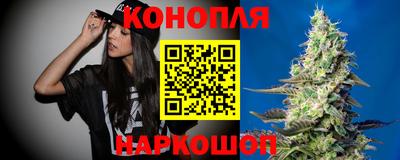 крисы Абакан