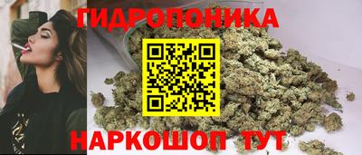 крисы Абакан