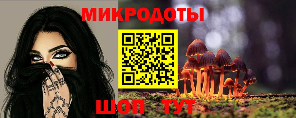 Галлюциногенные грибы Cubensis Алексин