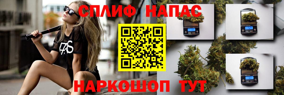 Конопля сатива Алексин